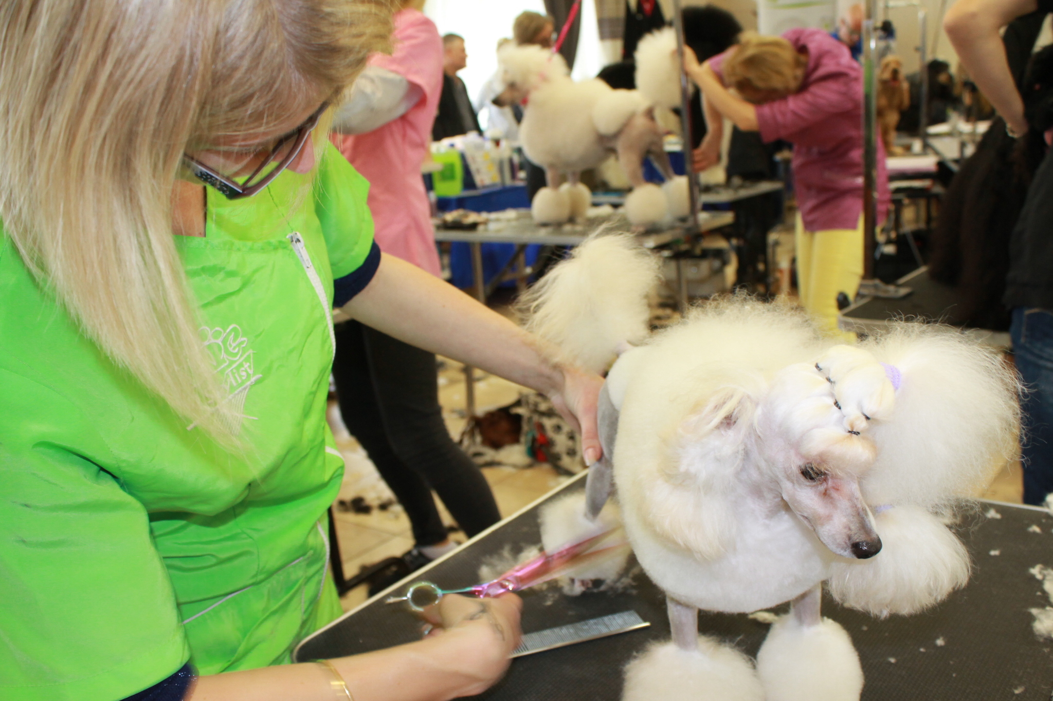 Több kategóriában versengtek a kozmetikusok
