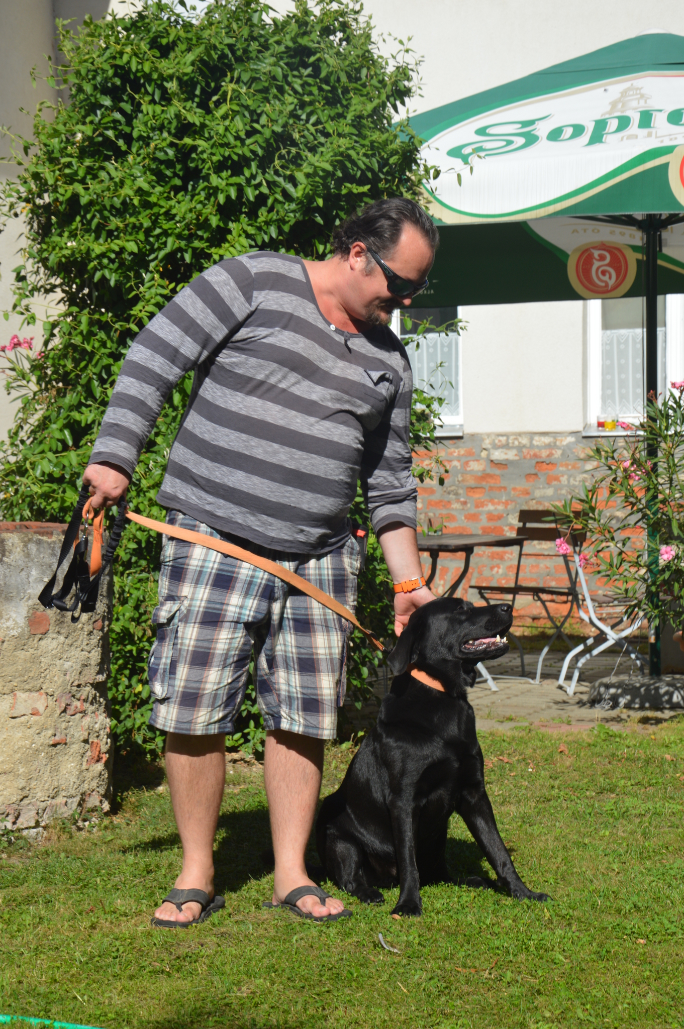 Mészáros Máté és Samu