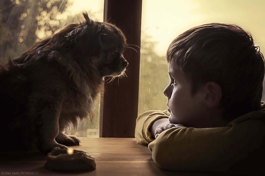 Egy kisfiú és a kutyája 4