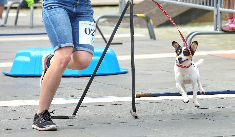A legkisebbek is ügyesen teljesítettek