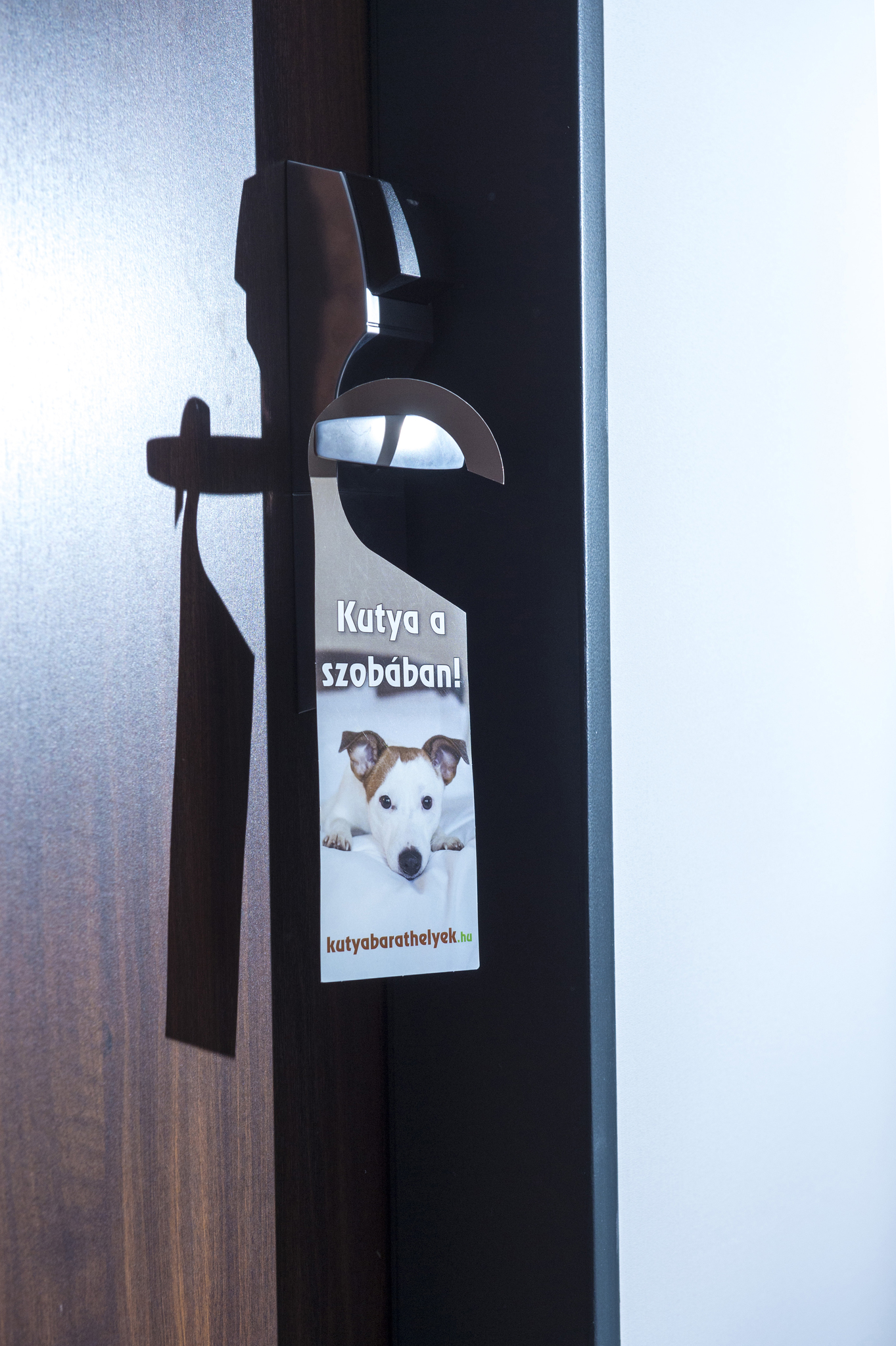 Kutya a szobában! A Hotel Sopronban bizony gyakori!