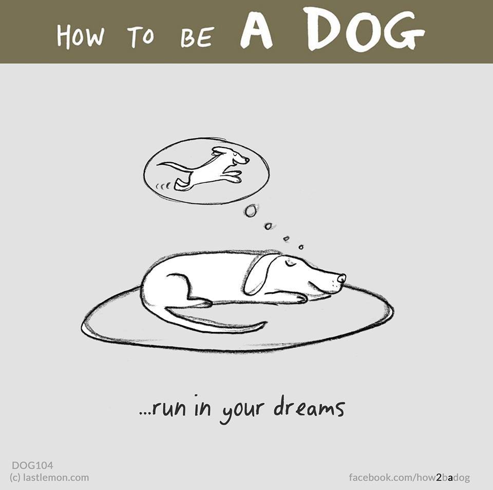 Szaladj álmodban! Szaladj álmodban!