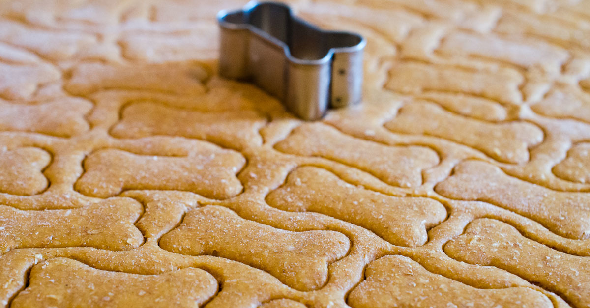 Egészséges jutalomfalat kutyádnak - mert megérdemli!