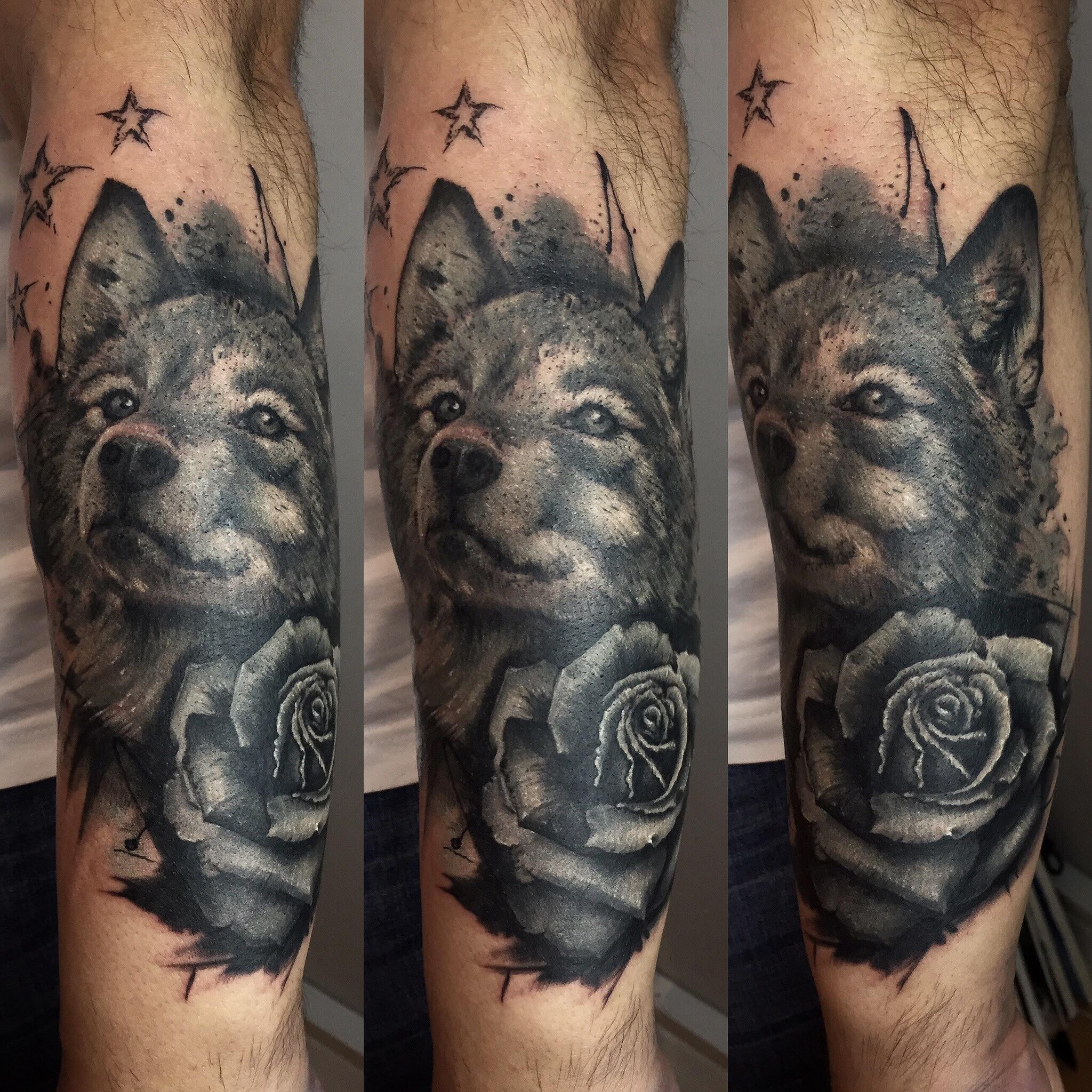 Gyönyörű farkas portré tetováláson 