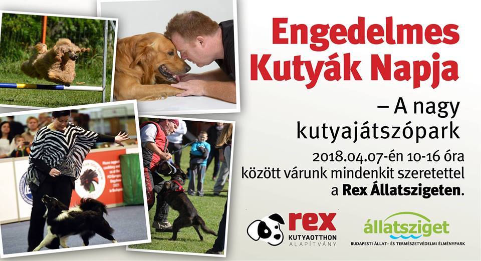 Engedelmes kutyák napja 2018 Engedelmes kutyák napja 2018