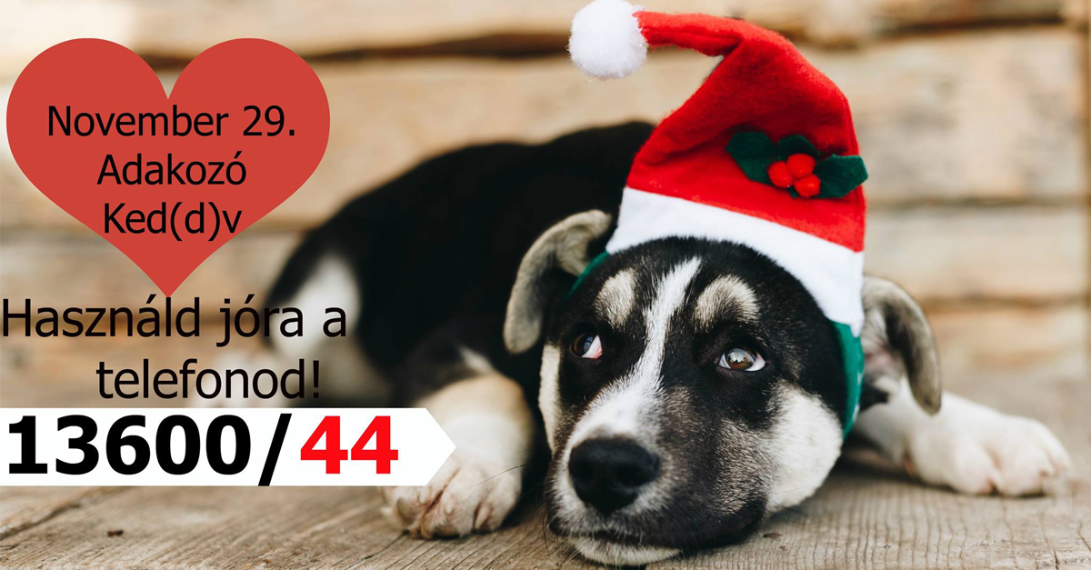 Adakozó Ked(d)v Adakozó Ked(d)v