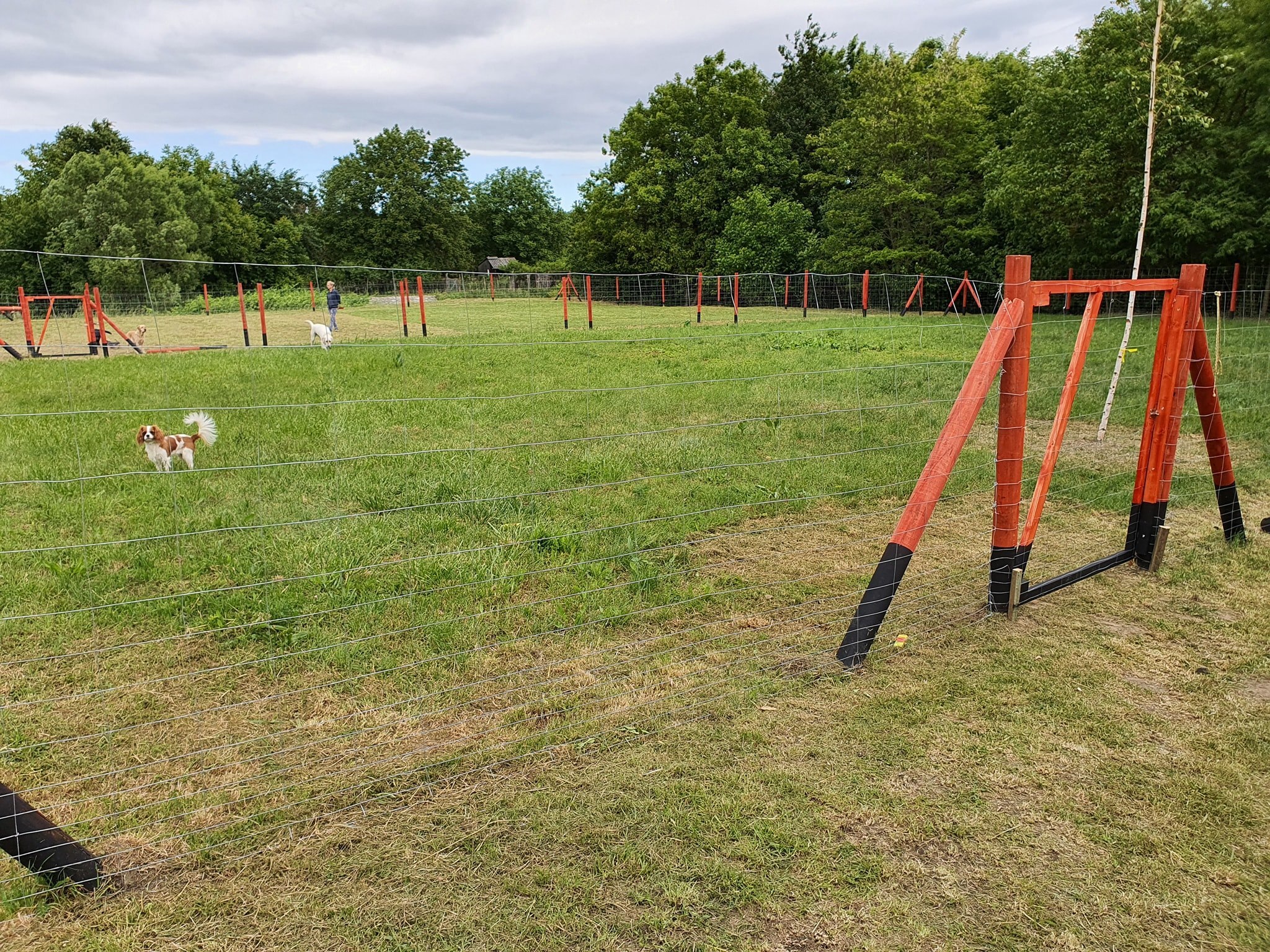 Kőszeg - Kórház utcai kutyafuttató