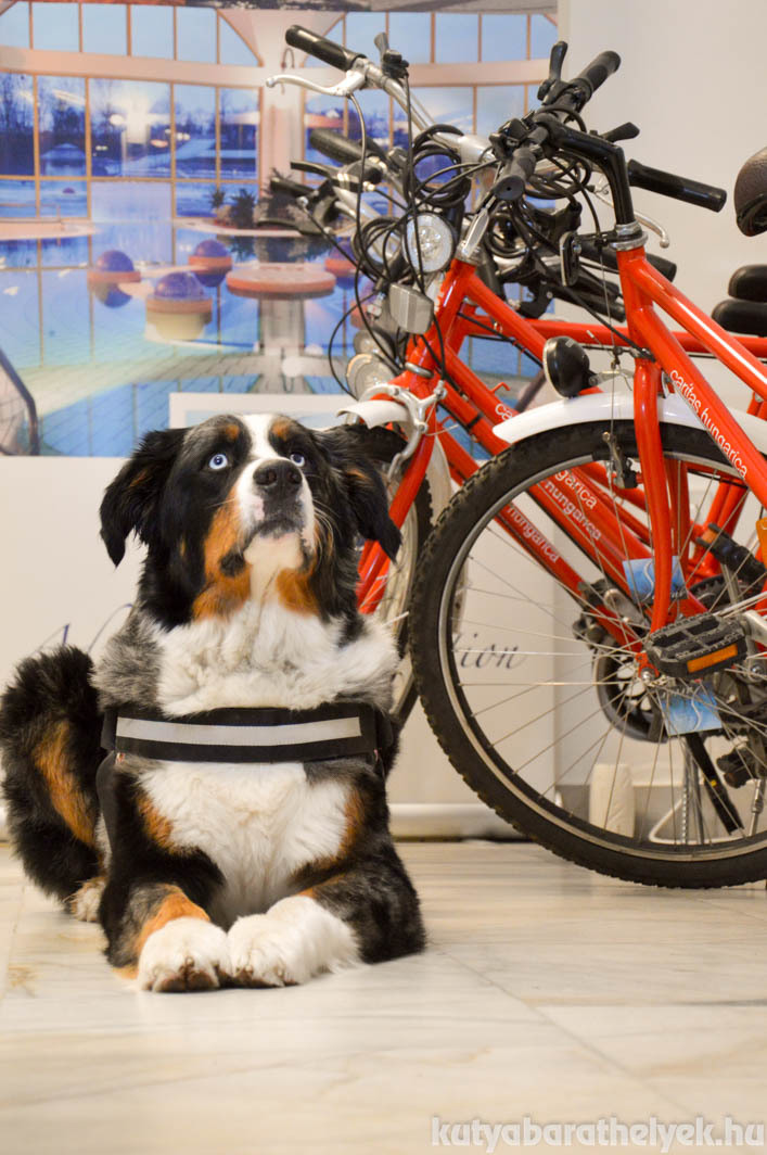 Szabadidős programokról is tájékozódhatnak a Gazdik