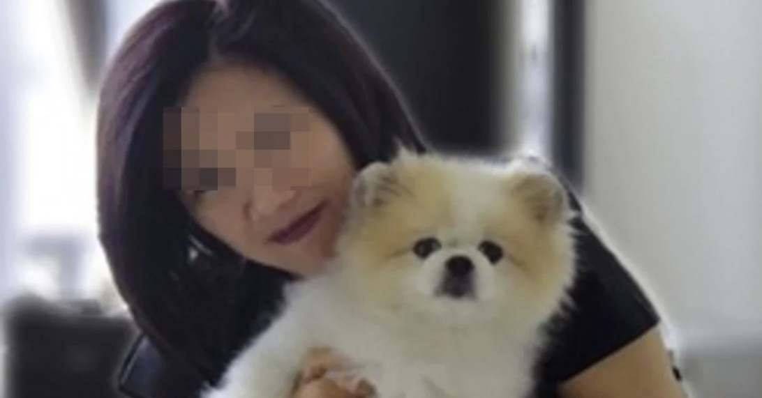 A vírust hordozó törpespiccet megfigyelés alatt tartják