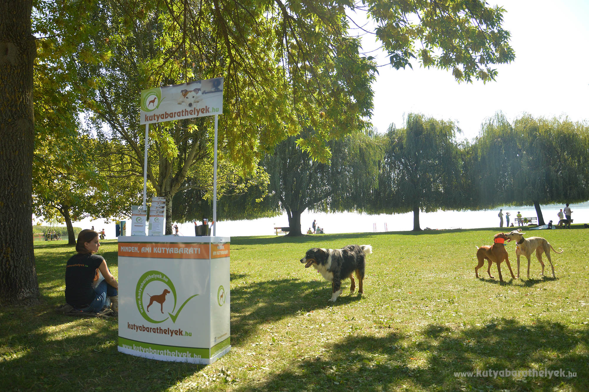 A kutyabarathelyek.hu is ott volt a FALKAstrandon