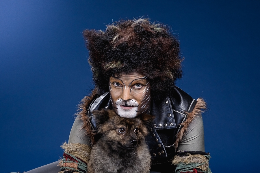 Macskák segítenek az árva kutyáknak - színészek pózoltak a menhelyi kutyákkal - 4