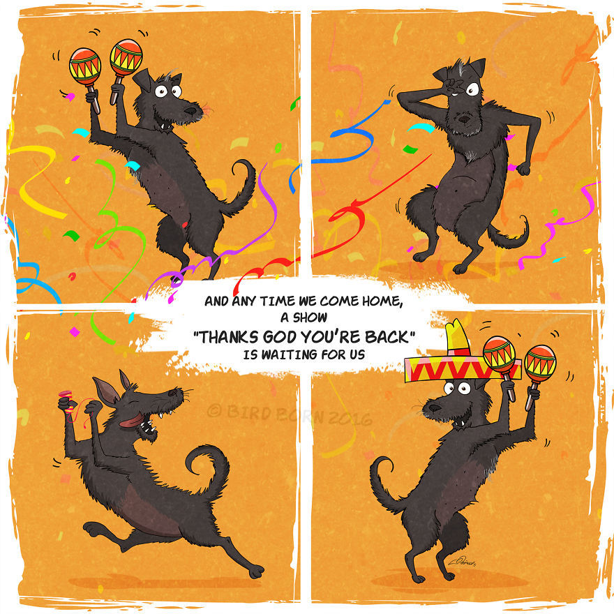 Kutyás képregény 8 Kutyás képregény 8