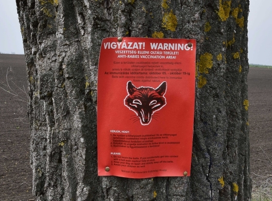 Ilyen piros plakátok hívják fel a figyelmet a veszettség elleni vakcinákra