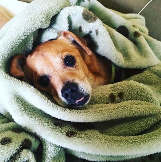 A búcsú pillanatai szeretetben, biztonságban telnek