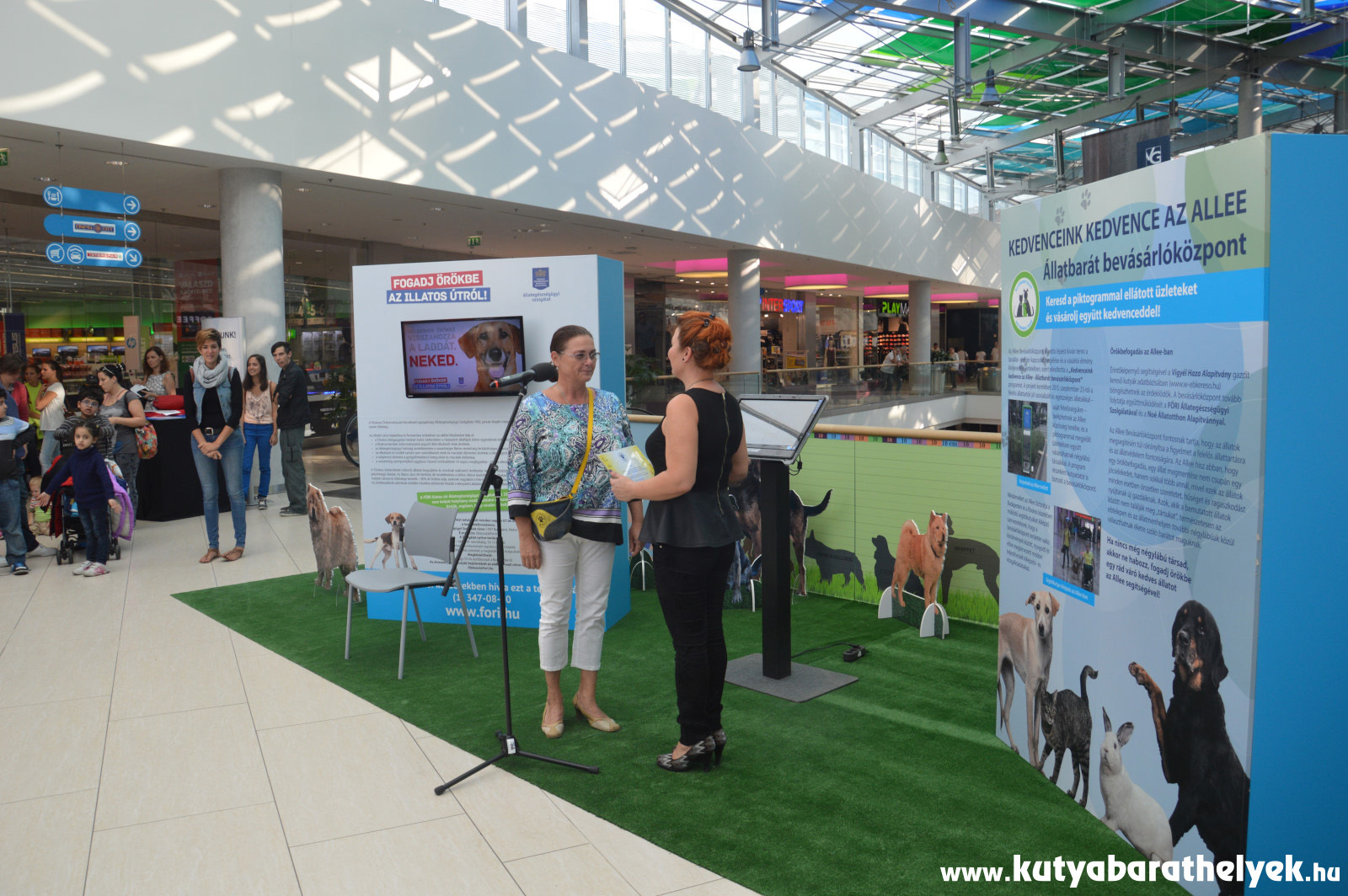 EB-OVO részéről Hlavac Márta adta át az elismerő oklevelet Kovács Klaudiának