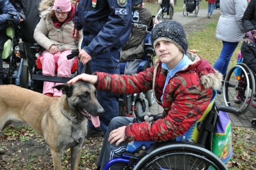 Taxi, a rendőrkutya az iskolában