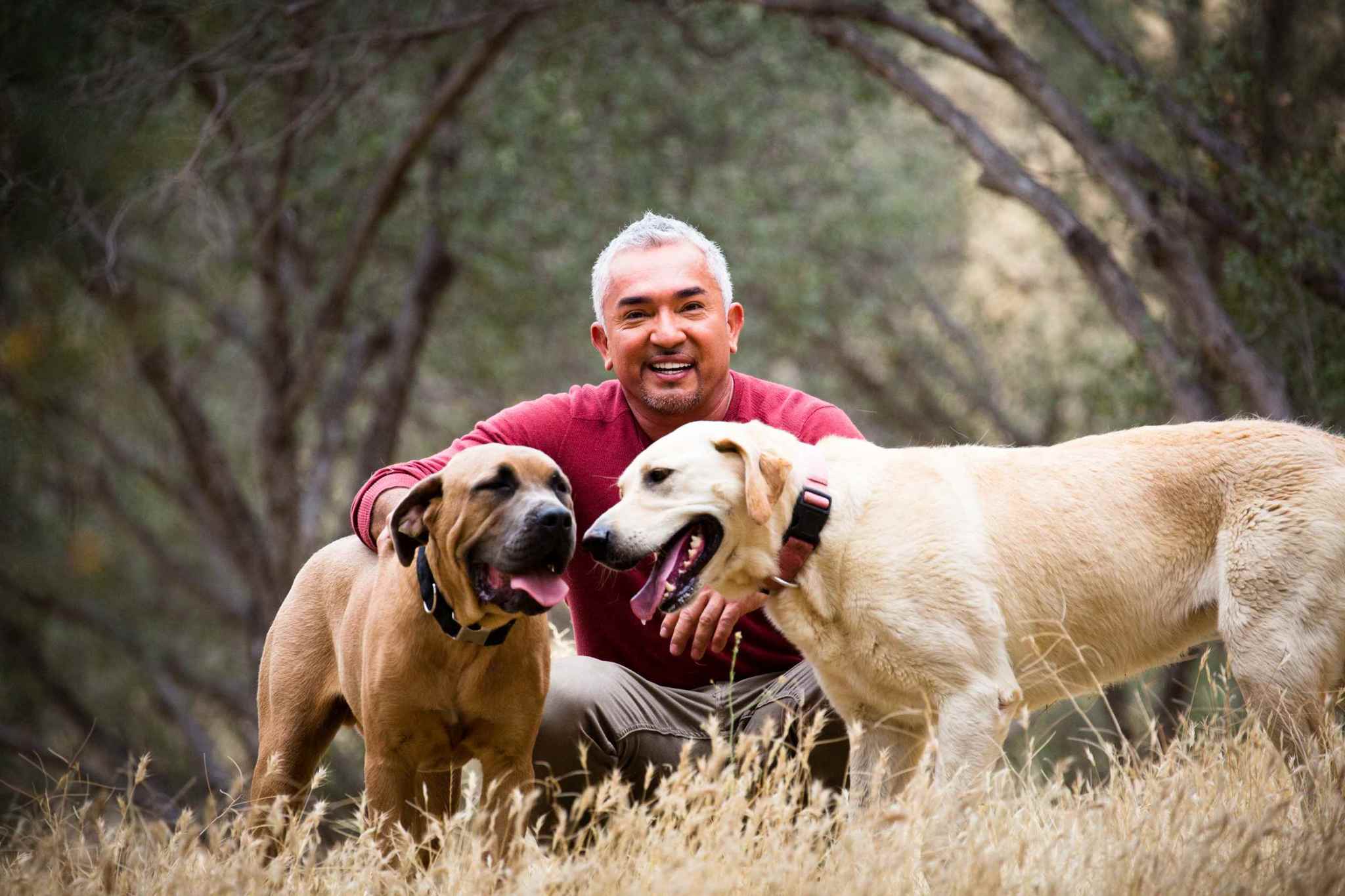 Cesar Millan újra Magyarországon