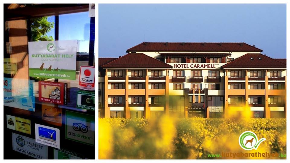 A kutyabarathelyek.hu matricája a Hotel Caramel ajtaján