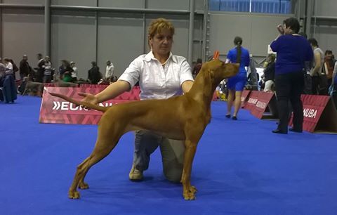 Mármarosi Anna - Magasparti Rutinos Angyal