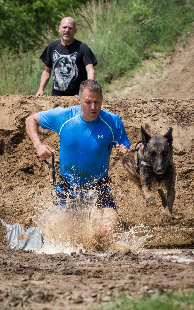 Akadálypálya futás kutyával - kemény verseny, ami próbára tesz mindkettőtöket