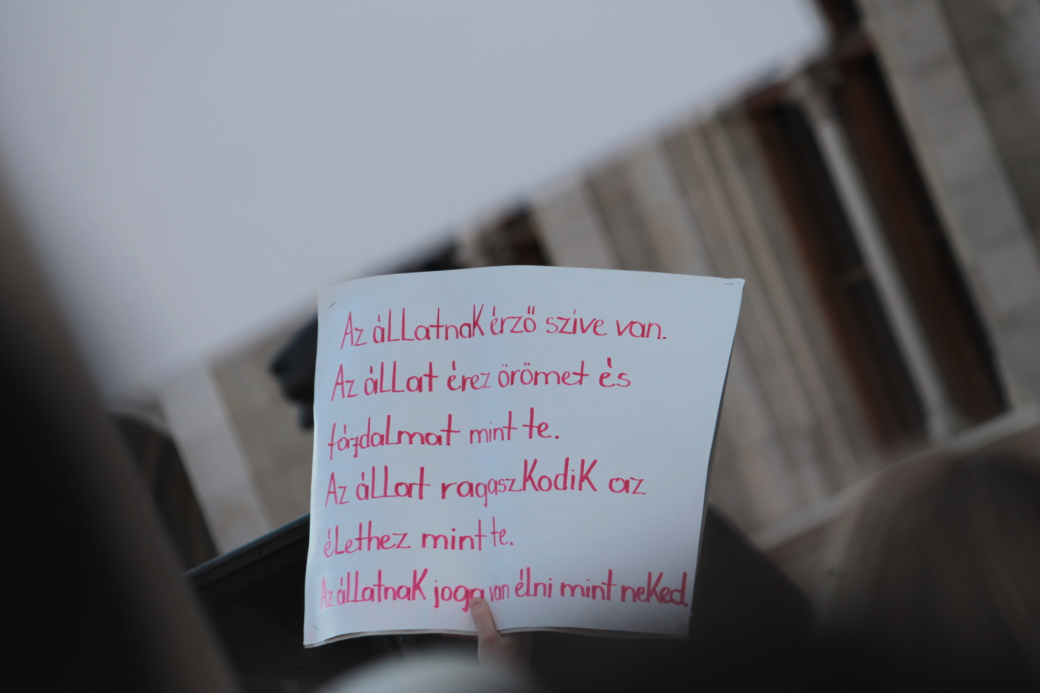 A legtöbb szervezet saját transzparenst készített, de akadtak egyediek is