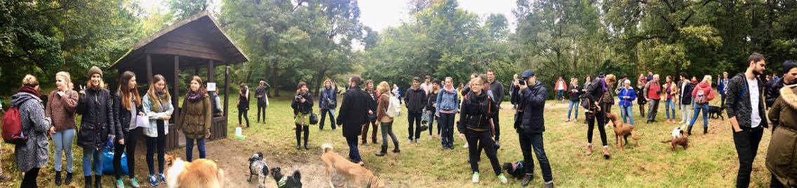 Nagyon sokan eljöttek a jótékonysági sétára