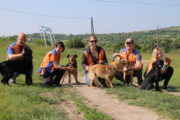 A menhelysuli második csoportja