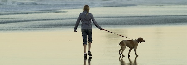 Korlátozunk és védünk - a tengerparton is biztonságot ad a póráz...