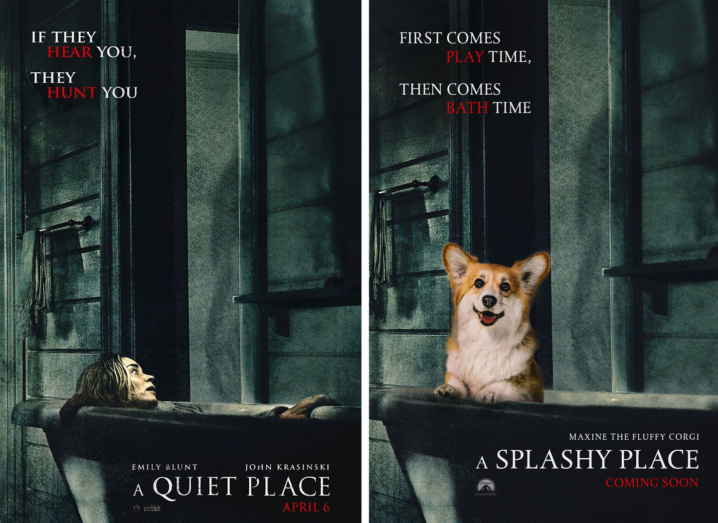 A Quiet Place - A Splashy Place A Quiet Place - A Splashy Place
