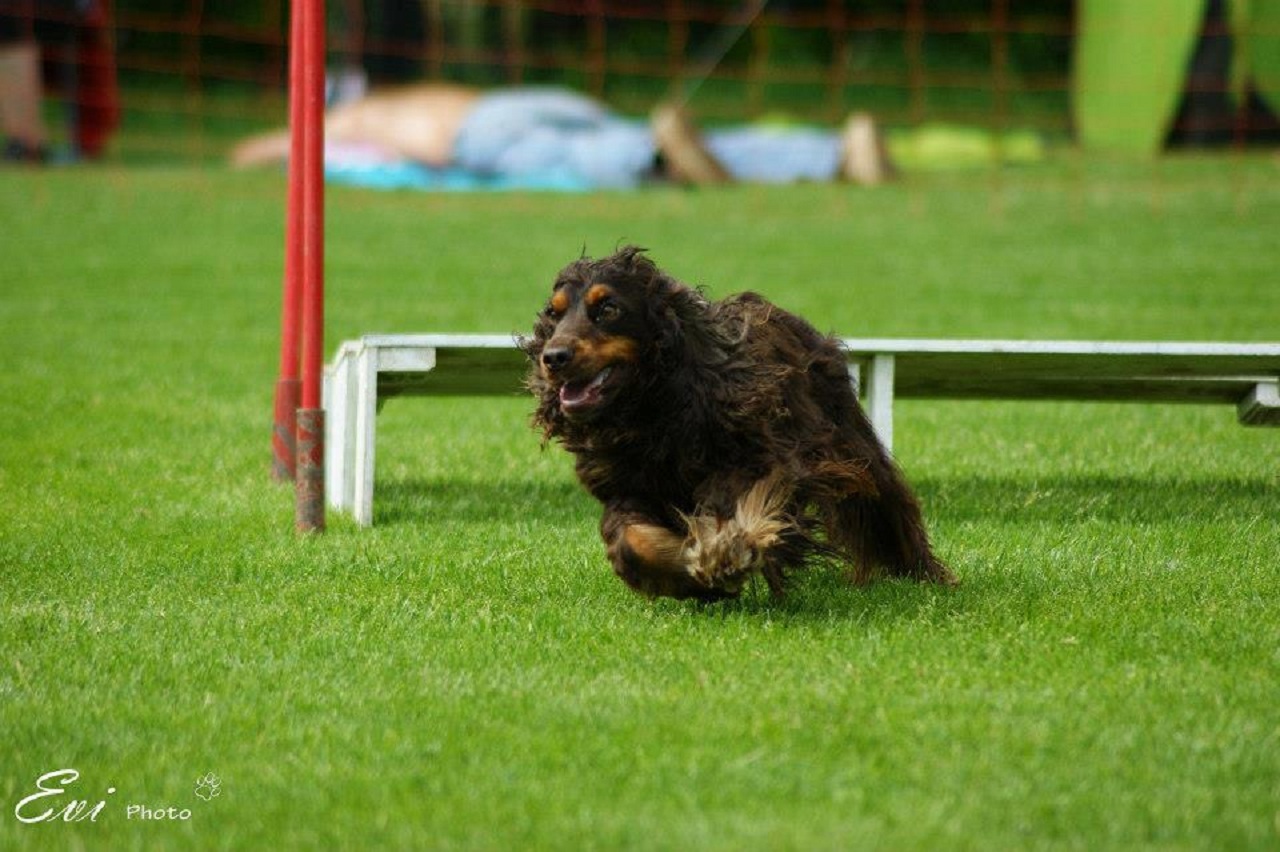 Távolugró után futás a következő akadályra