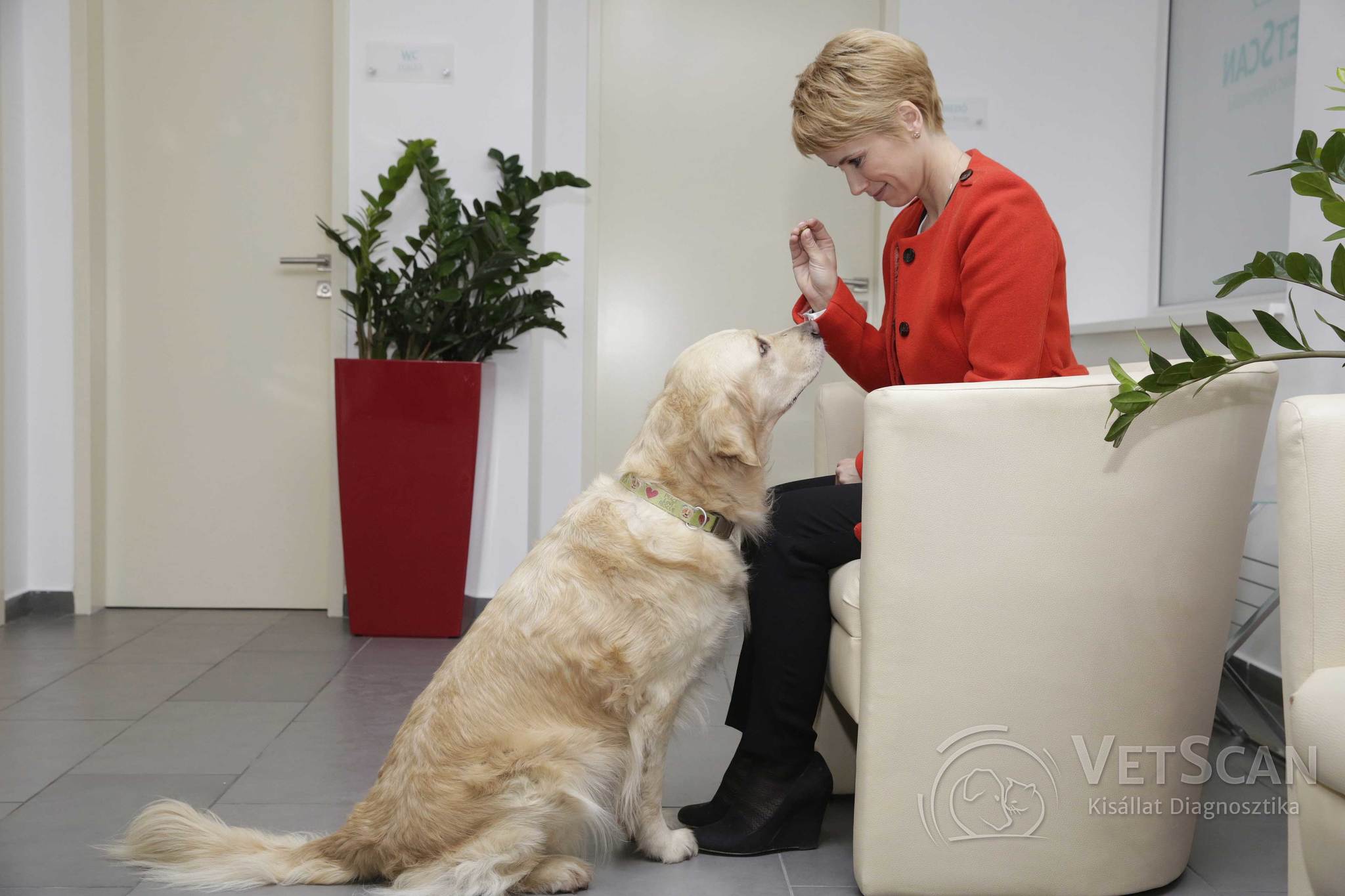 D.Tóth Kriszta a VetScan Kisállat Diagnosztikánál D.Tóth Kriszta a VetScan Kisállat Diagnosztikánál