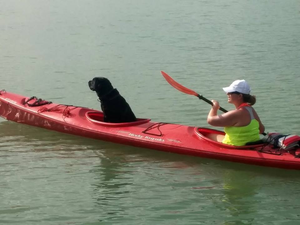 Kutya a Balatonon: így is lehet!