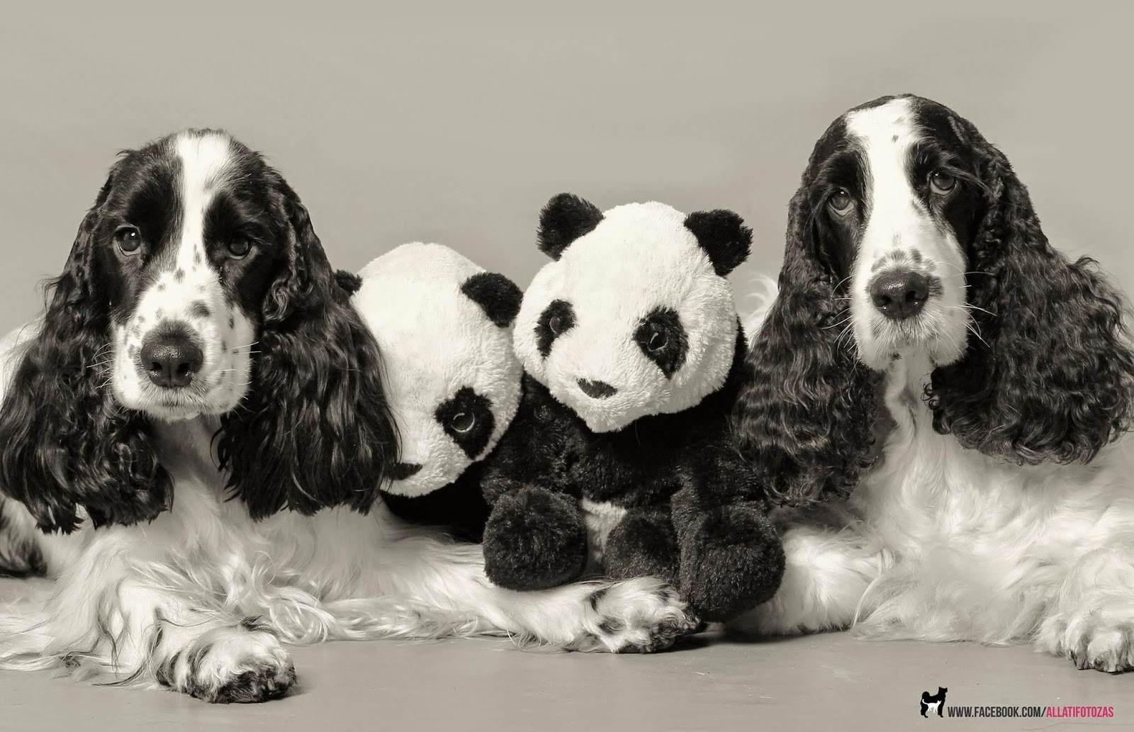 A két segítő: Frida és Maya