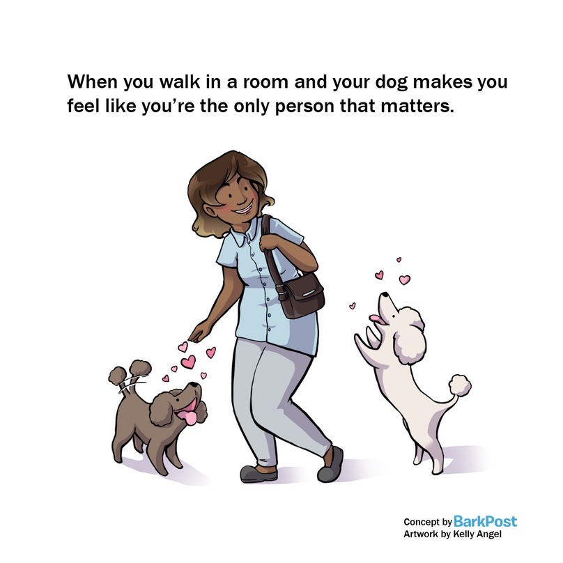 Kutyád majd kiugrik a bőréből, mikor hazaérkezel