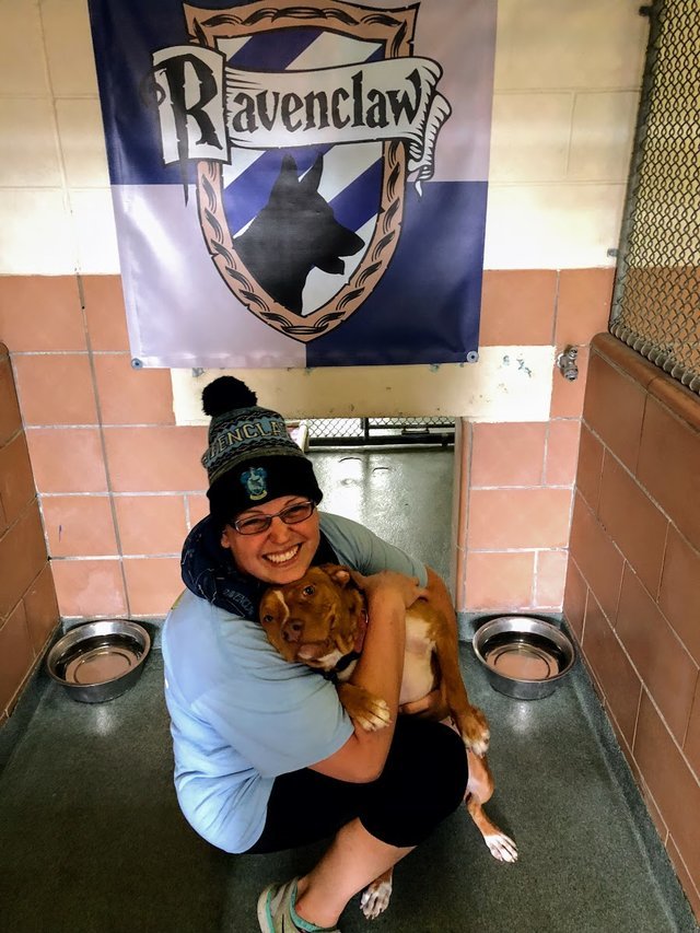 Ez a kutya biztosan jó képességekkel rendelkezik, okos: ezt mutatja, hogy a Hollóhátba került