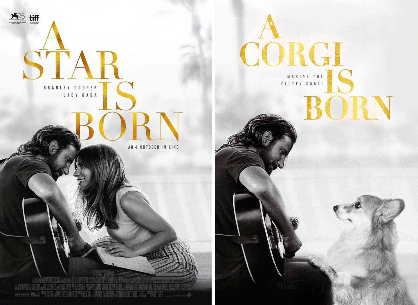 A Star Is Born - A Corgi Is Born A Star Is Born - A Corgi Is Born