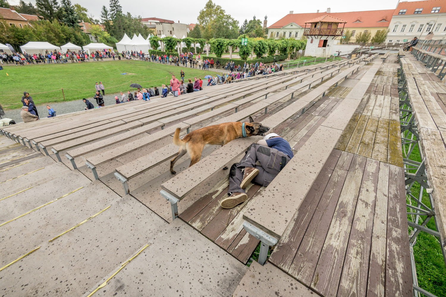 Zen, amint megtalálja a bajba jutott áldozatot Zen, amint megtalálja a bajba jutott áldozatot