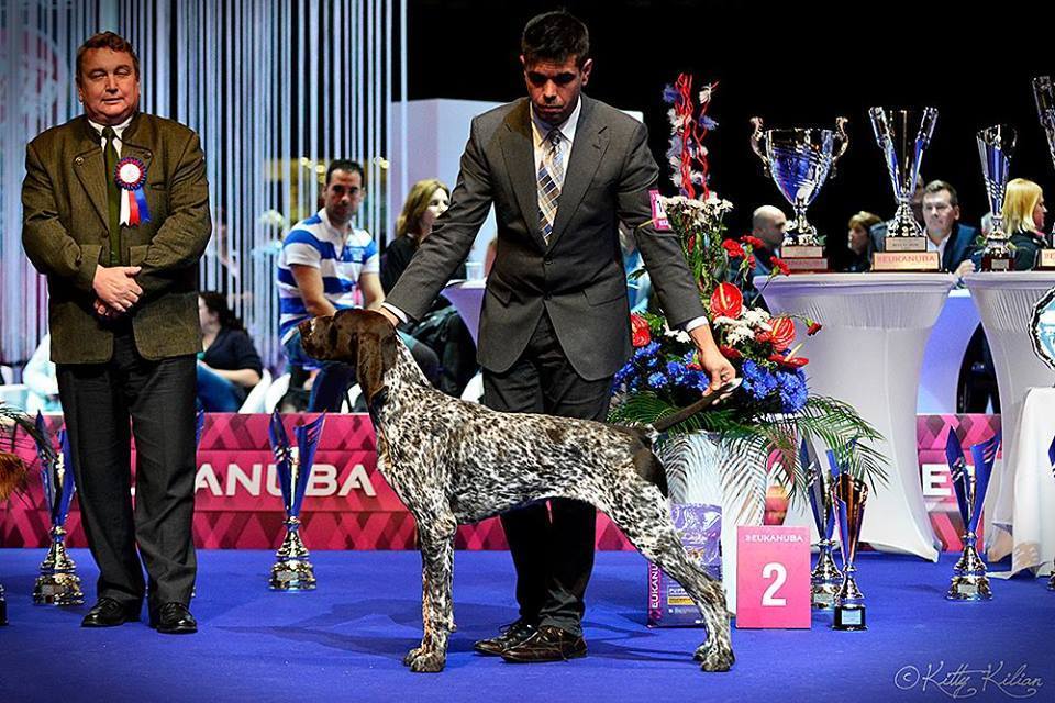 Malomközi Gráf egy korábbi kiállításon