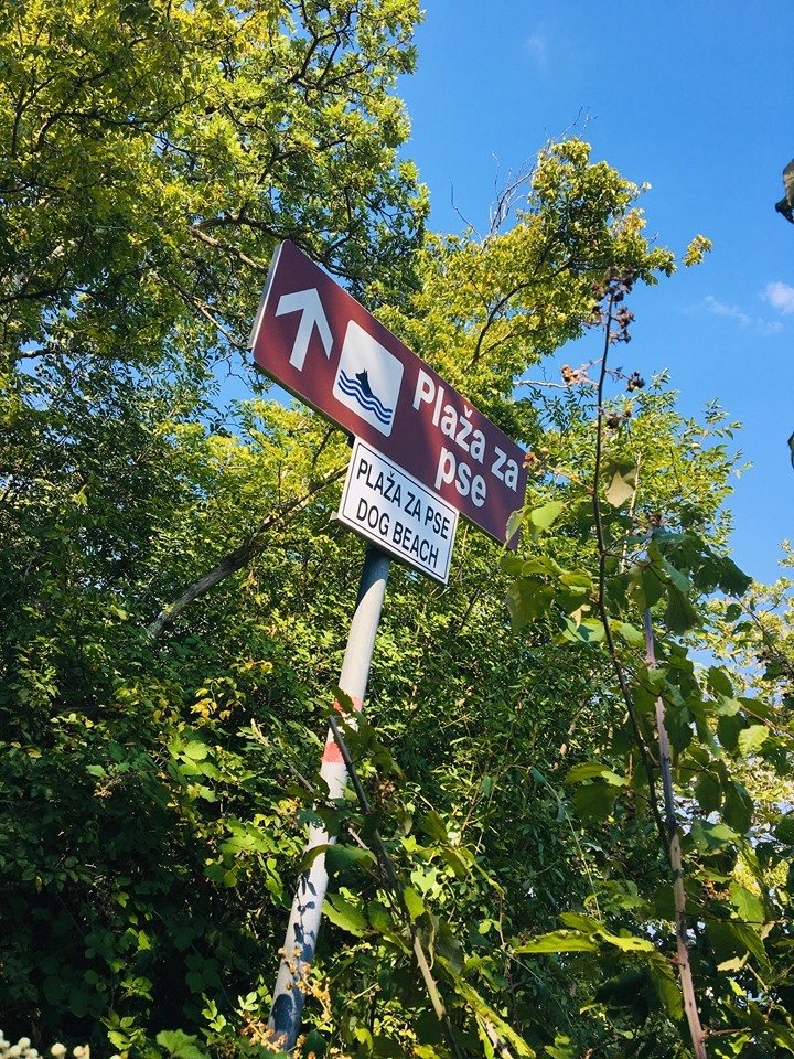 Tábla jelzi, hol találhatók a kutyastrandok