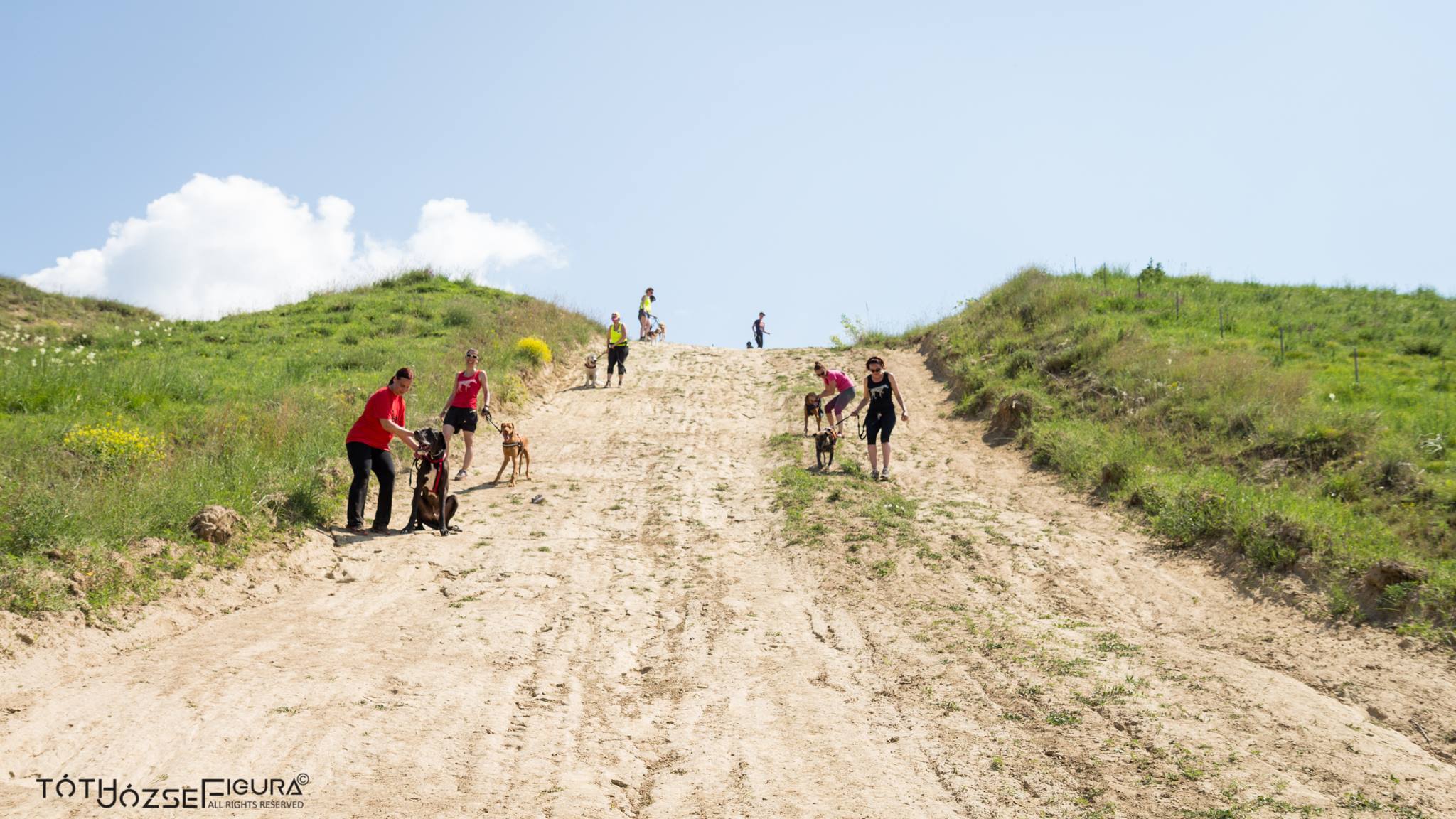 Lefele sem volt egyszerűbb!