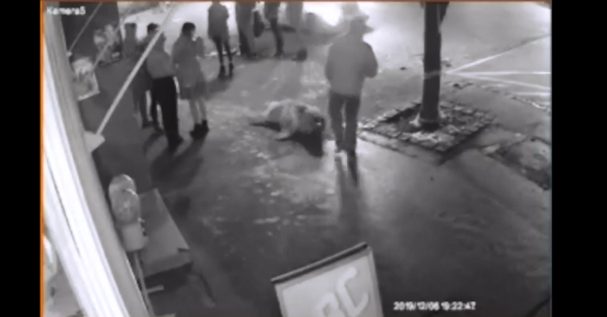 Felvétel is készült a kutyát vonszoló férfiról