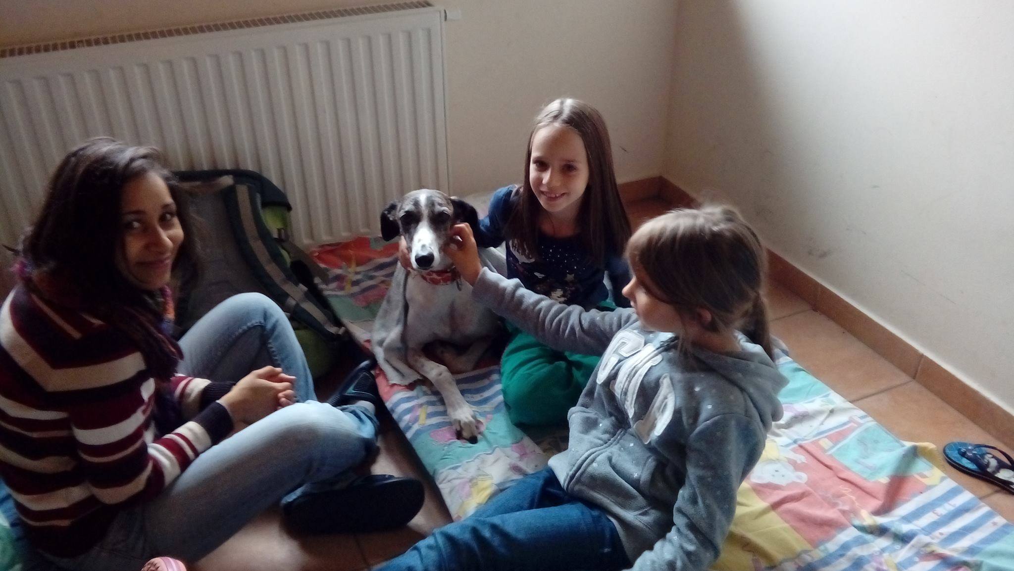 Kutyasimogatás a szünetben - hatékony pihenés