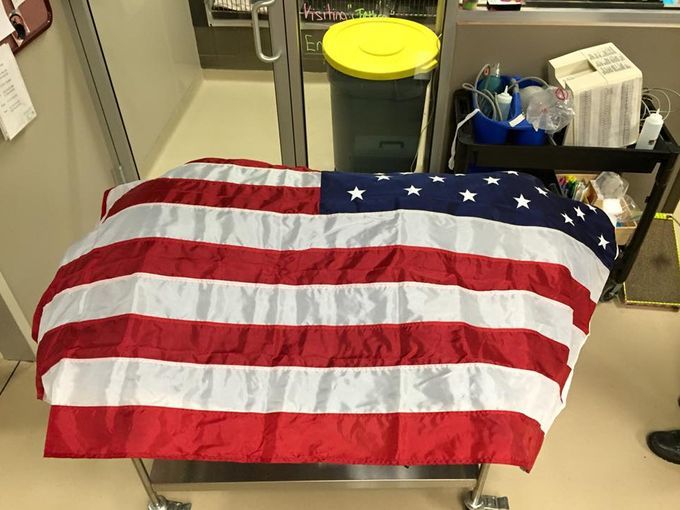 Hősként halt meg K9 Jethro, a rendőrkutya. Tisztelegve emlékeztek rá rendőr kollégái