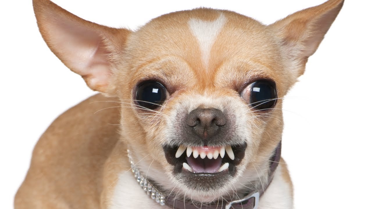 Sokaknak ismerős látvány