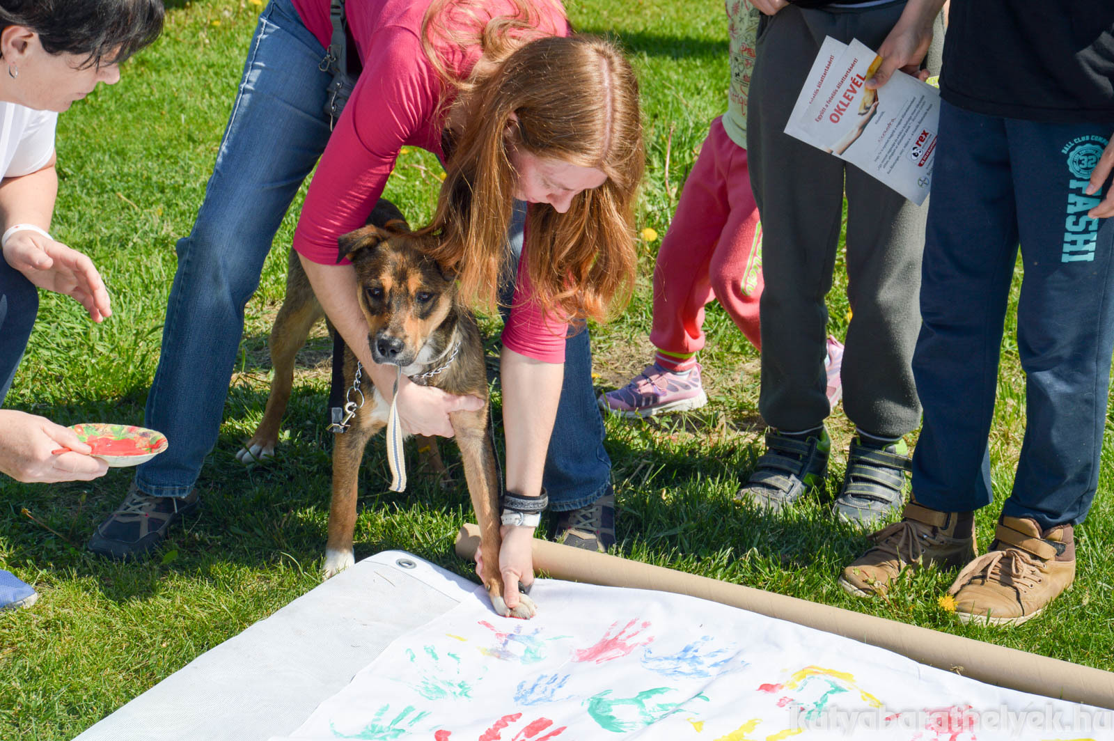 Nem csak kéz- hanem mancsnyomokat is hagytak a vásznon