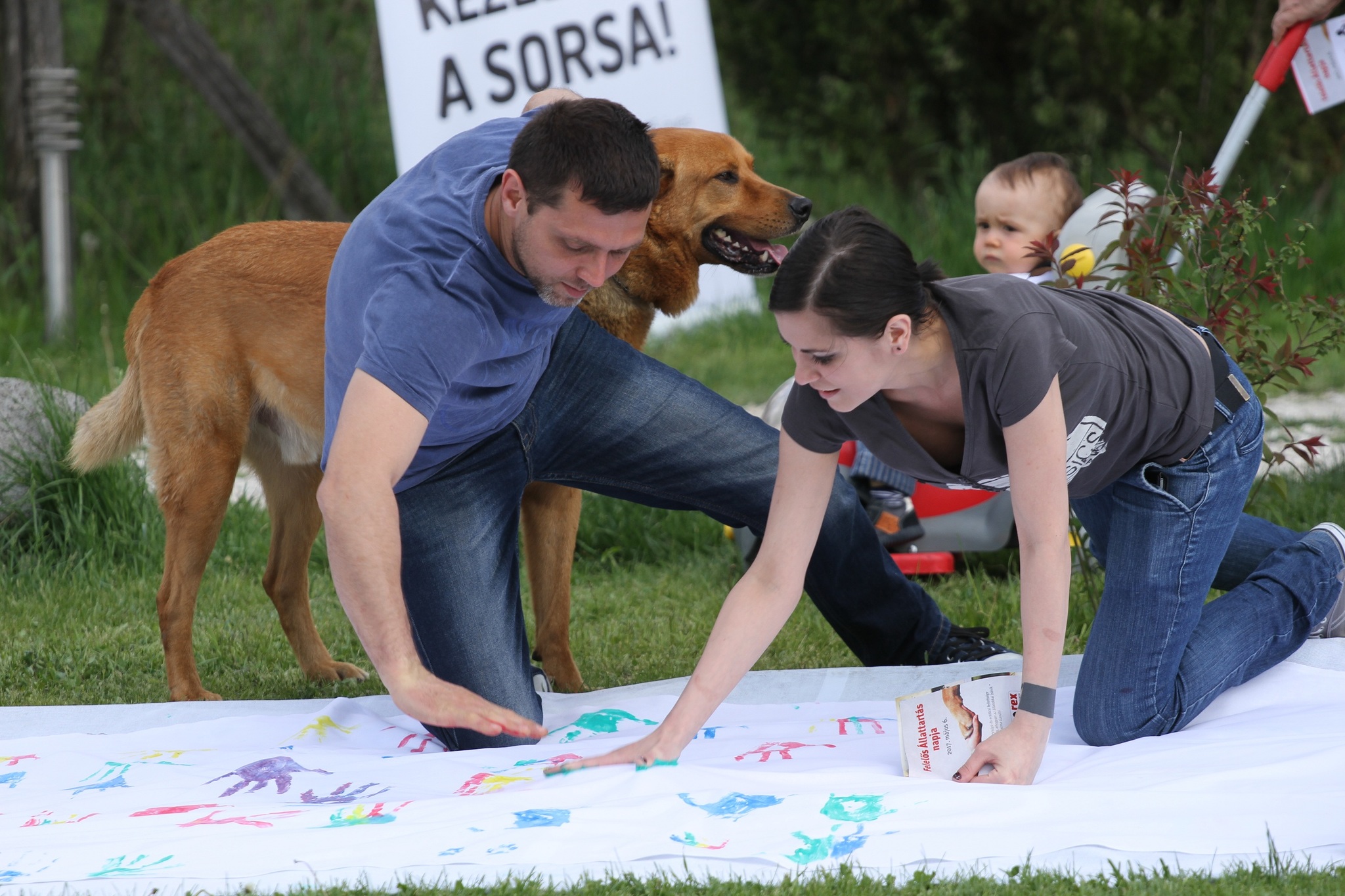 2017-ben kéz- és mancsnyomokat tettek a felelős állatbarátok és kedvenceik a rekordkísérlet részeként