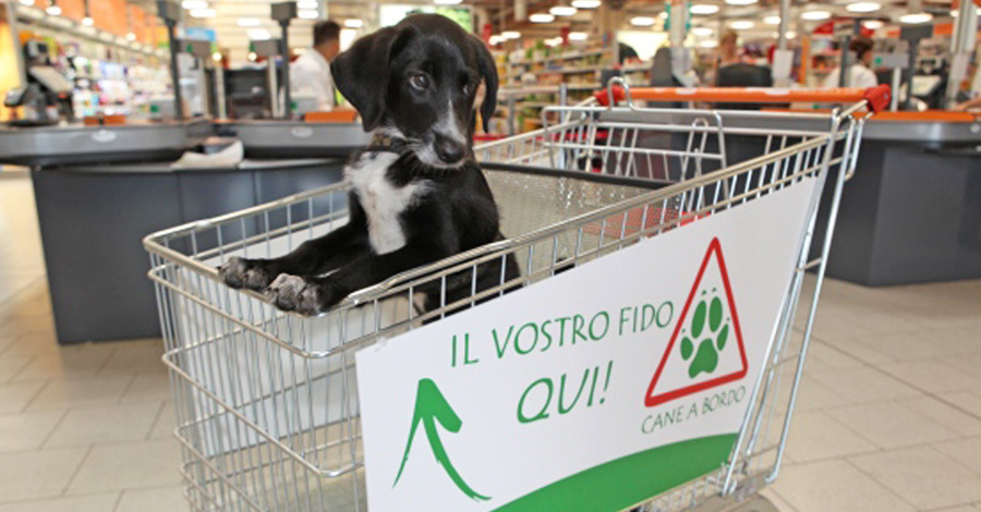 Külön a kutyások számára alakítottak ki bevásárlókocsikat