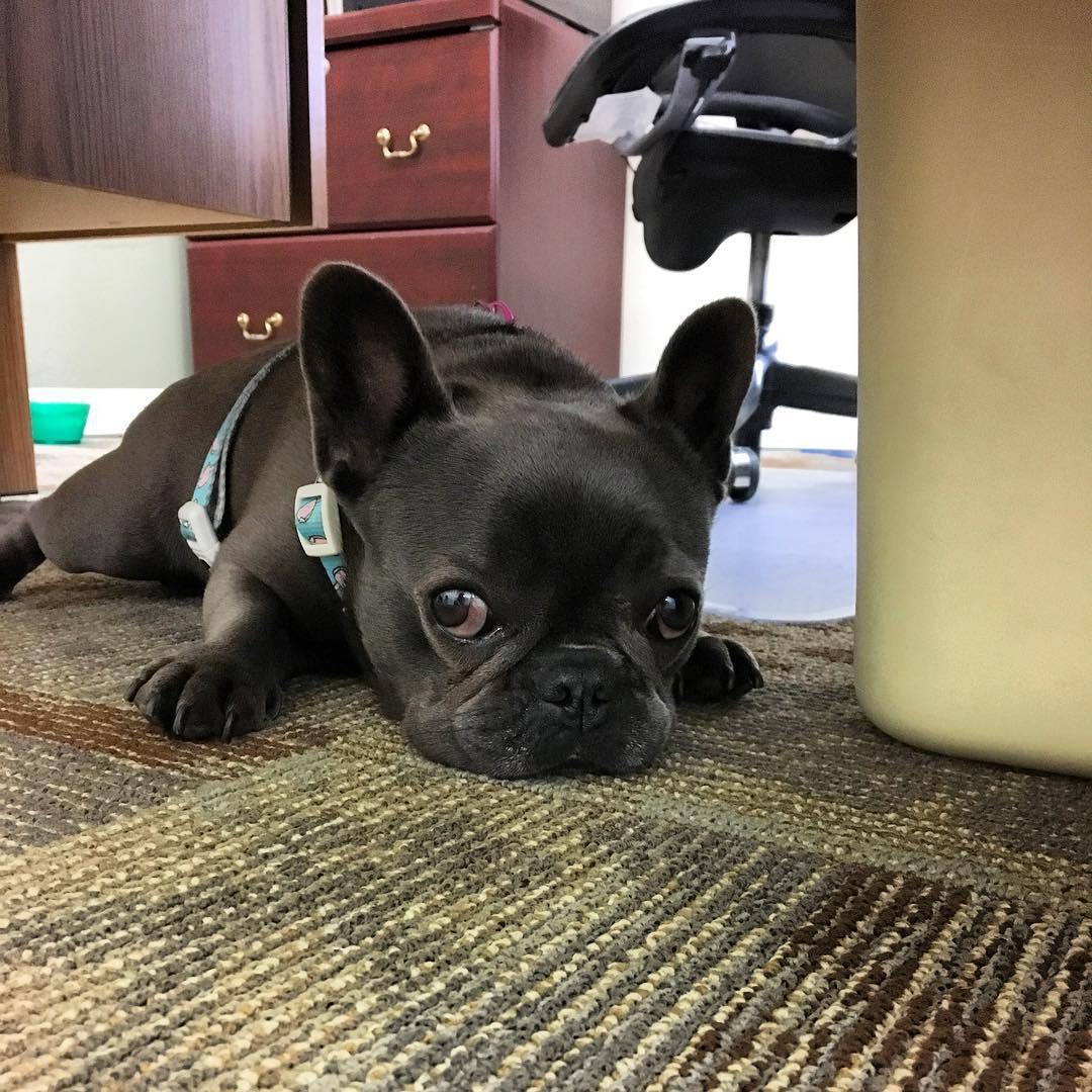 Van, aki a hétvégét várja inkább...