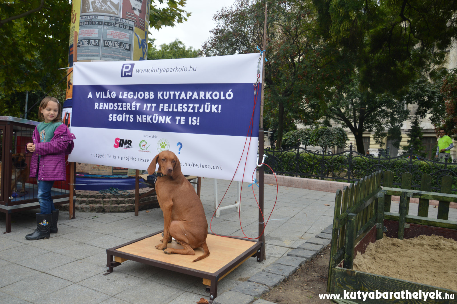 Teszteltük a Kutyaparkolót is!