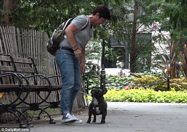 A kutya mindössze 4 perc alatt megmenekült